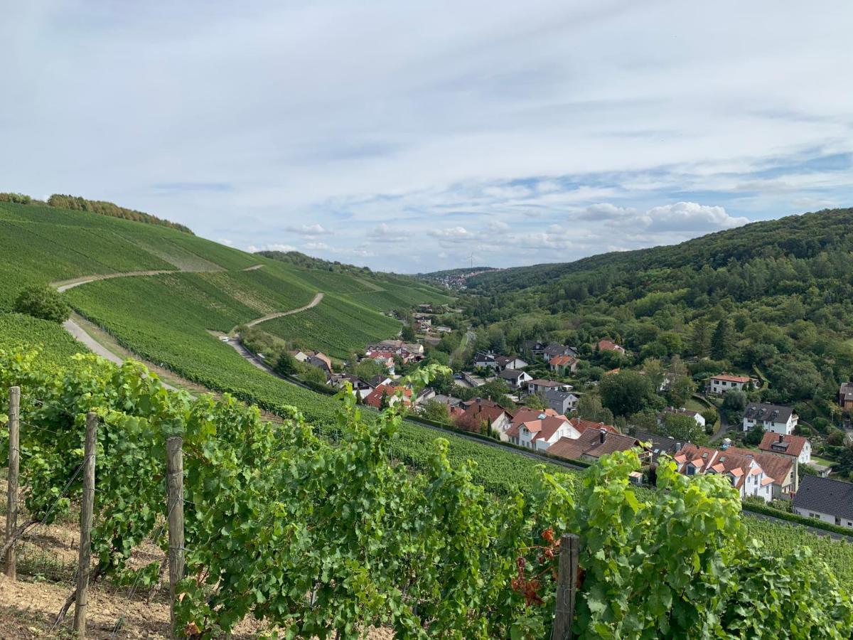Neues Inserat, modernes Penthouse, nahe Würzburg Exterior foto